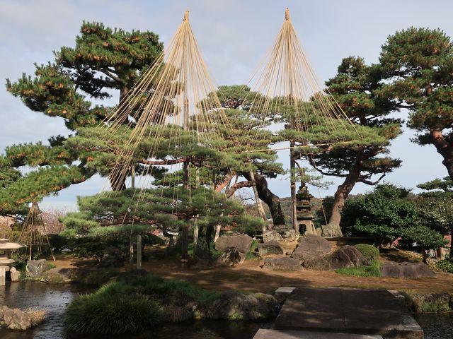 �n���̑����Ƃ���������_�����_�R(���Z���j