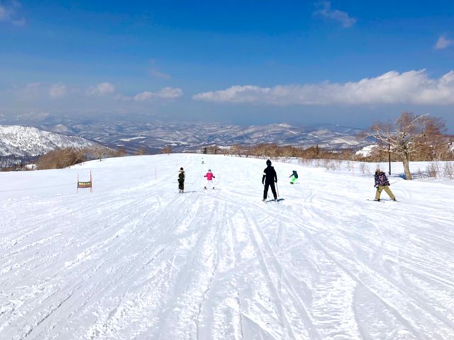 �X�L�[�R�[�X_�L�����X�m�[���[���h