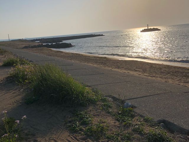 �������肳��̈���C�l�����̓��e�ʐ^2