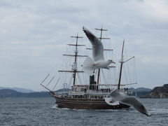 1962̂N[Yւ̓eʐ^5