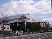 XkṽK[nbg CI[XiRinger Hutj̓eʐ^1