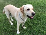 �������肳��̈���C�l�����̓��e�ʐ^1