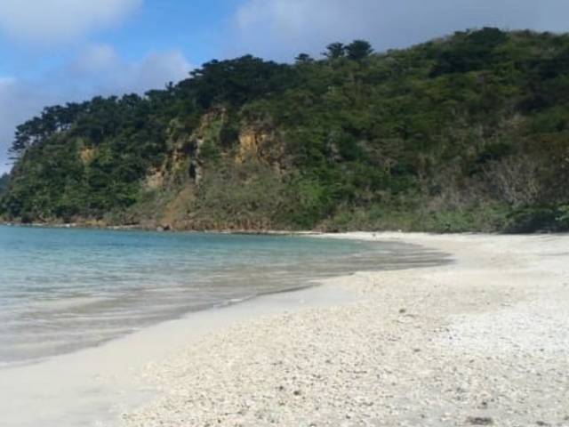 ����̂ق��̃r�[�`�Ɣ�ׂĐl�����Ȃ��̂��������ł��ˁB_�C�_�̕l