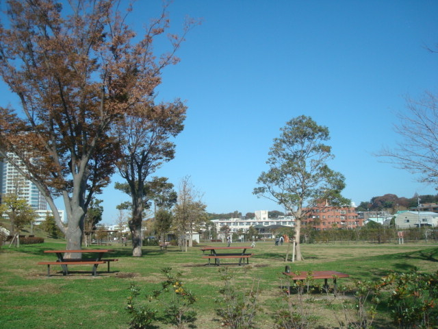 ��q�ʐ����_��q�ʐ����