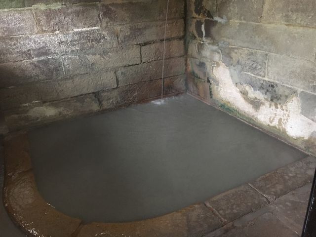 �|�̓� �A�����j�E���L�̋��������ł�_�I��x�����F��