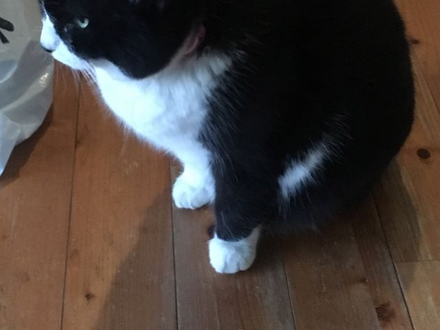 �l���������L�����ł���_�I��x�����F��