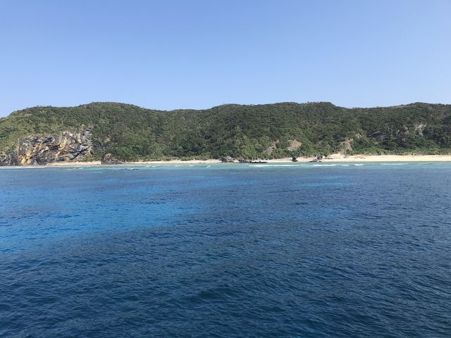 �c�Ǌԏ���_�W���C�N���G�C�g���� �e�B�[�_