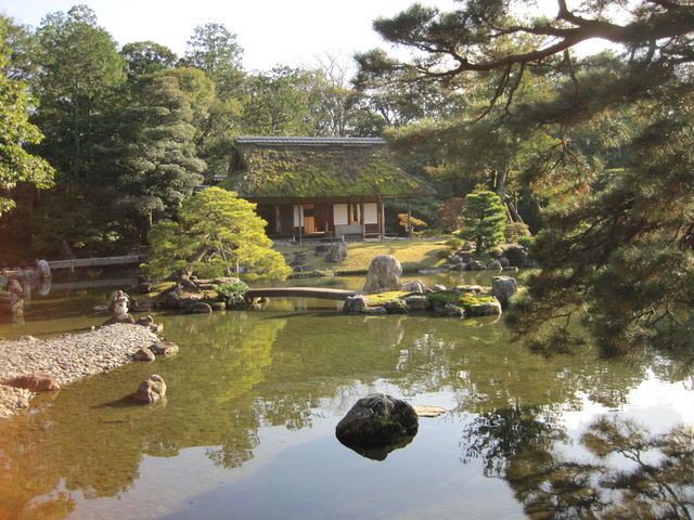 ���h�Ȓ�_�j���{