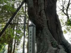 DoubleO7̘h_Ђւ̓eʐ^4