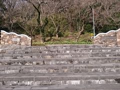 �܂�܂���̃m�[�t�H�[�N�L��ւ̓��e�ʐ^1