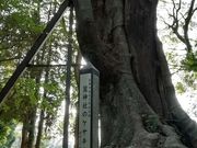 DoubleO7̘h_Ђ̓eʐ^4