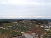 nobû炳ӂ闢̓eʐ^1