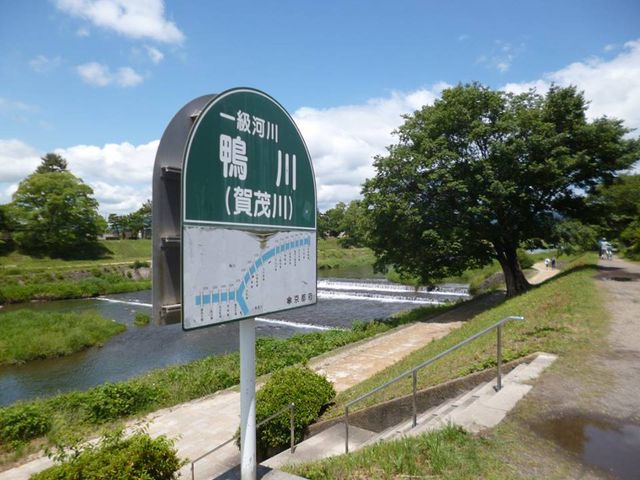 Kamo river_����