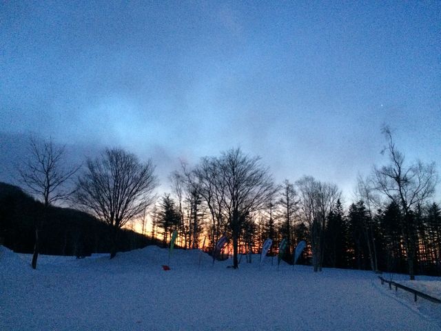 �����̃Q�����f����_�T�z�����]�[�g�X�L�[��