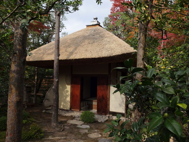 ����_���ԓ��뉀�E���p��