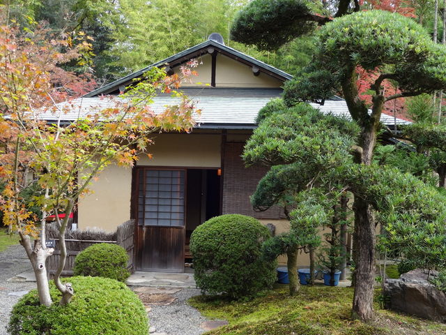 �z�B�B�����Џ@�|�̒|�т��،i�Ƃ��āA���ۂɒ��Ȃ��݂����Ă����B_���ԓ��뉀�E���p��