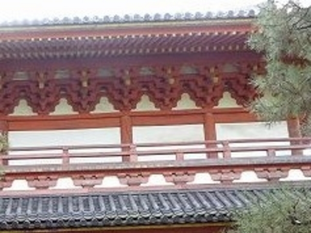 �哿��_�哿��