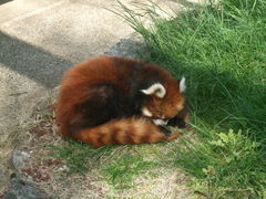 ��������񂳂�̑������ւ̓��e�ʐ^1