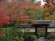 ܂񂳂̏ԓ뉀Epق̓eʐ^5