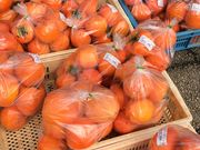 ܂񂳂̓̉w Ԃ̋ ܂̓eʐ^1