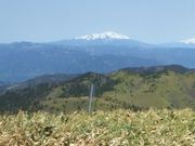 tsuyo3̕xm䍂i򕌌Ðsj̓eʐ^1