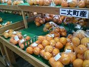 񂿂񂳂̔EӁ@΂ăbNXR[X̓eʐ^1