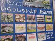 񂿂񂳂̂̂܂̓eʐ^1