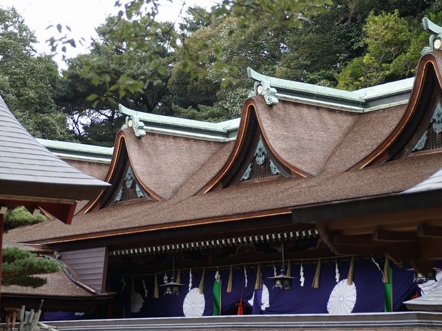 ����̖{�a�B_�Z�g�_�Ж{�a