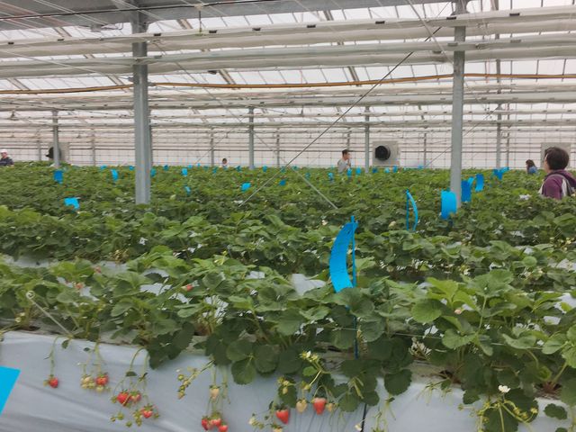 �������n�E�X_����C�`�S�@���n�E�X