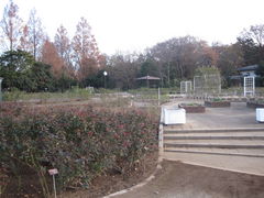 ݂񂳂̈ɓޒ{sLOւ̓eʐ^1