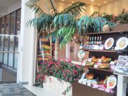 HappỹNAACi CIzJCN^EX̓eʐ^1