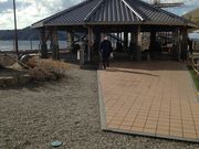 tonntonn̓삠킶򋽂̓eʐ^1