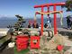 poporonさんの大魚神社海中鳥居の投稿写真1