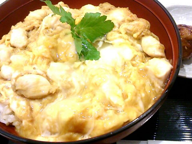 ܂肳̌{OaEOAEgbgp[N؍XÓX̓eʐ^1