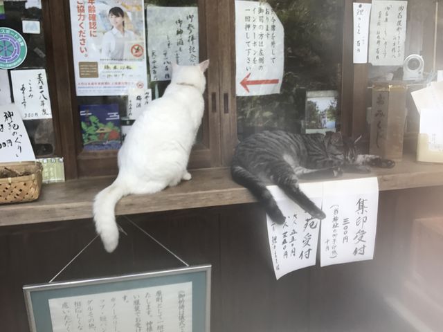 �L����_�~�{���