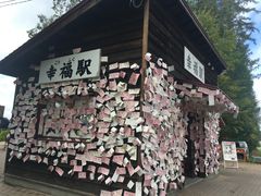 ف[񂳂̈wEKwւ̓eʐ^1