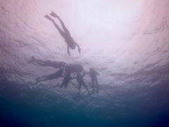 킩̃I[VX^Cւ̓eʐ^1