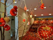 񂳂̏r}RNVE̖l`ق̓eʐ^13