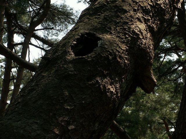 ����͂Q�O�O�N���炢�̂��̂����������ł��B_�C��̏���