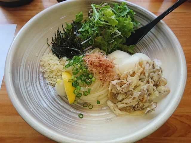 ƐƕV̂ԂǂōB_ǂ񏠐l {