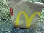 hƂ䂤q̃}Nhih CI[X̓eʐ^2