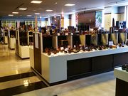 ˂񂳂̔Oē`YƉق̓eʐ^3