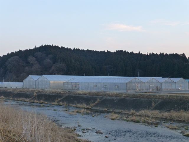 �Ƃɂ����f�J���I�I�I_�₢�����R��������