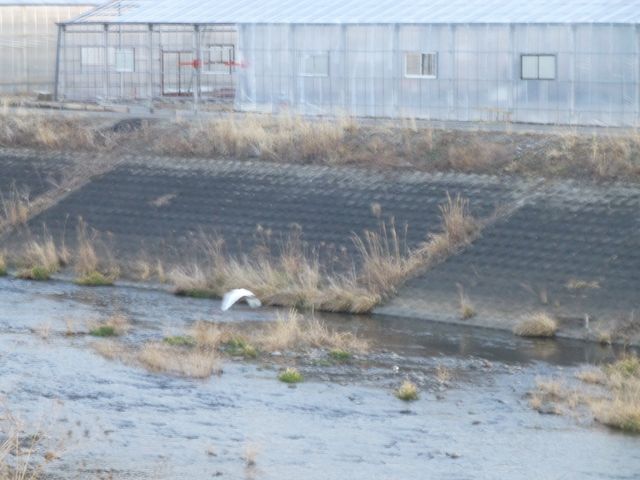 �T�M�����ł�������܂���_�₢�����R��������