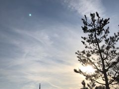 T`̖@ώi̓jւ̓eʐ^1