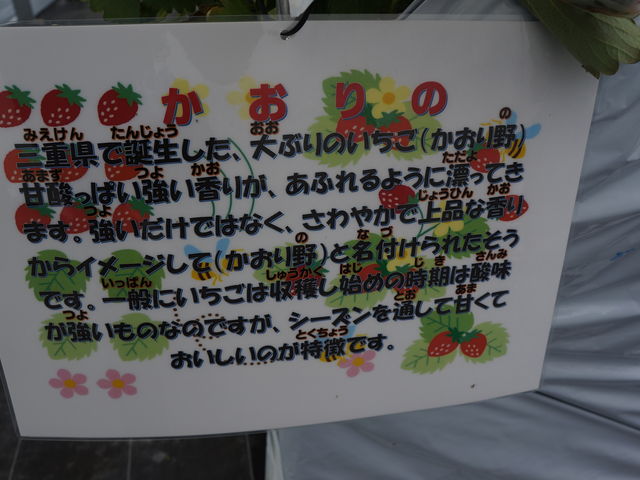 �u������́v���������i��ł���_BERRYHOUSE