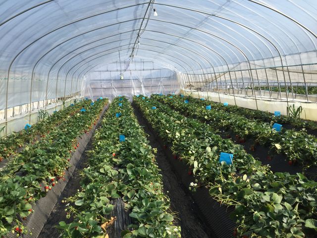 �r�j�[���n�E�X��_�����_��