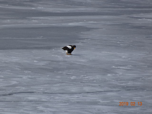 ���X��̃I�W�����V_���̉w ���X�X���ԑ�