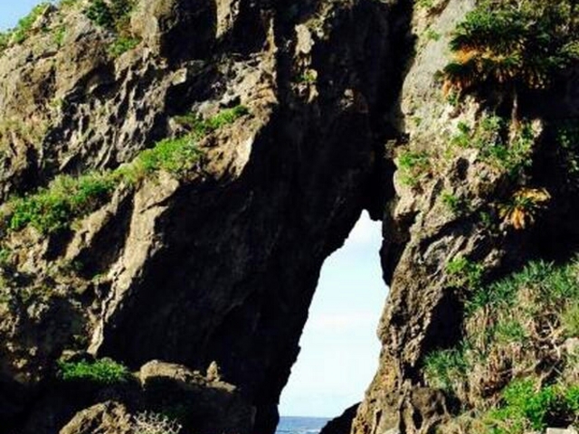 �~�[�t�K�[