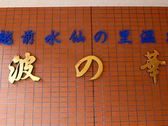 越前水仙の里温泉 波の華 の口コミ一覧 じゃらんnet